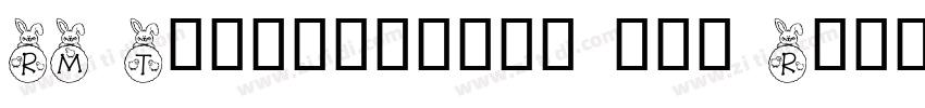 RM Typerighter old R字体转换